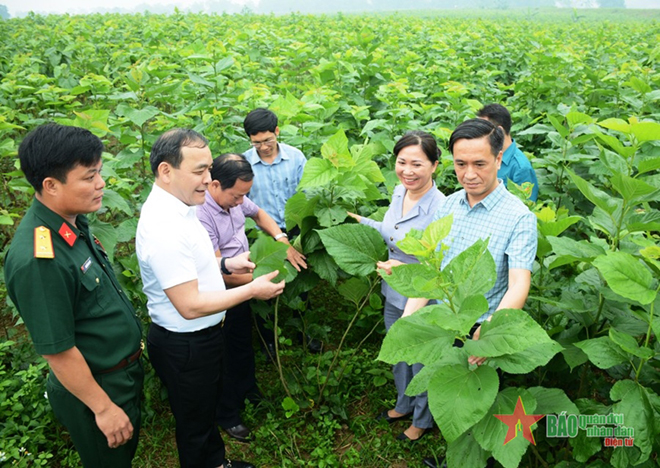 Lãnh đạo huyện Trấn Yên (Yên Bái) thăm, kiểm tra mô hình trồng dâu, nuôi tằm ở thôn Lan Đình, xã Việt Thành.